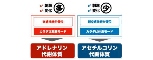 アドレナリン代謝体質とアセチルコリン代謝体質とでは免疫機能の働き方が違うことを説明した画像 