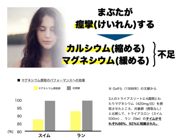筋肉の伸び縮みとカルシウムとマグネシウムの関係を説明するイメージ