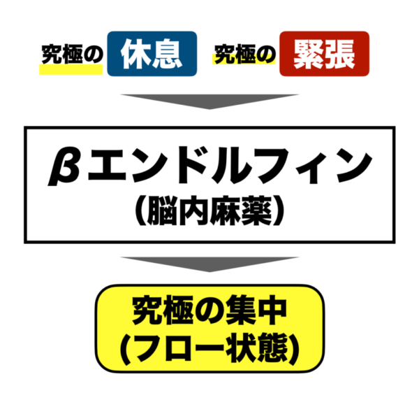 ゾーンに入った時やフロー状態に入った時に分泌される脳内物質βエンドルフィンをわかりやすく説明した画像