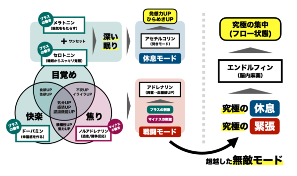 熱いお風呂が好きな人はエンドルフィンを出すことでストレスを一時的に忘れようとしていることを説明した画像
