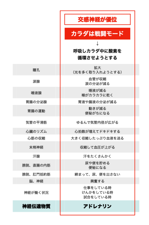 アドレナリンが分泌されて交感神経優位になったときカラダで起こる変化について分かりやすくまとめた画像
