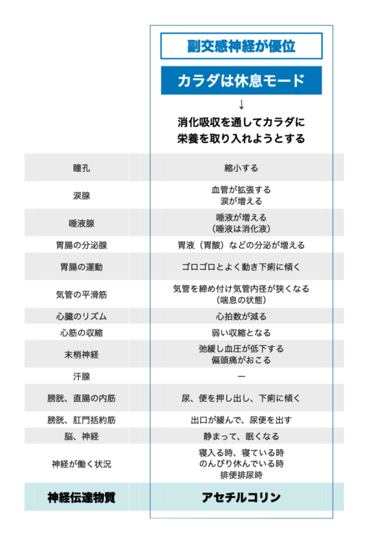 涼しい秋になりリラックスするとなぜ交感神経神経優位になり食欲が増えるのか説明した画像