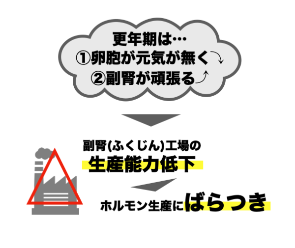 更年期症状の原因に副腎が大きく関わっていることをまとめた画像