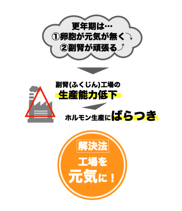 更年期症状を軽くするには副腎を元気にすることが大切ということがわかる画像