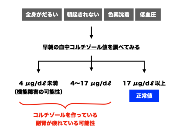 夕方に眠た苦なる人のカラダで何が起きているのか分かりやすくまとめた画像