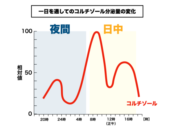 朝起きられない原因であるコルチゾール分泌量をグラフで表した画像