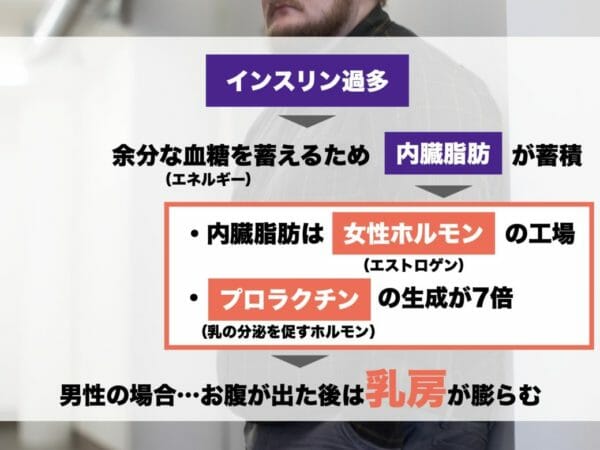 中年男性が太ると女性ホルモンが多くなり、男性なのにおっぱいが大きくなってしまうことを説明している画像