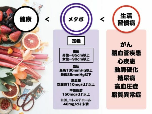 生活習慣病予備軍であるメタボを分かりやすく説明した画像