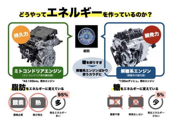 解糖系エンジンとミトコンドリアエンジンの違いを説明する図