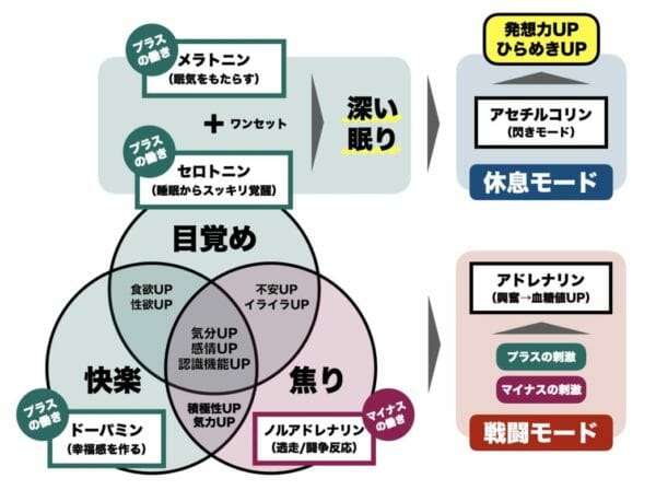 アドレナリンやアセチルコリンの脳内物質をまとめた図