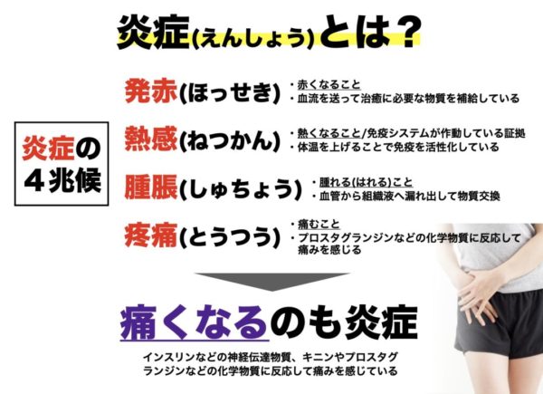 炎症の４兆候を整理して解説する図
