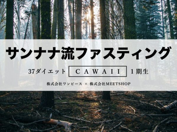 食べるファスティングプログラムであるサンナナ流ファスティングのイメージ