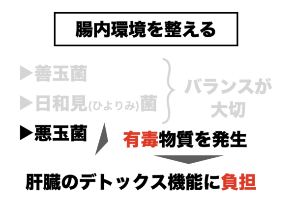 腸の中の悪玉菌をやっつけることが必要であることを説明する図