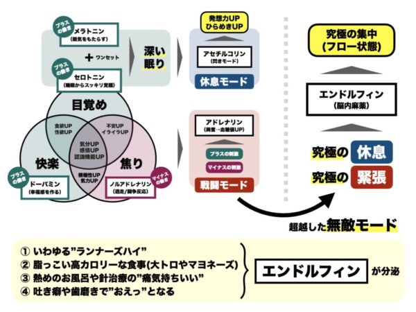 エンドルフィンという脳内物質の働きを簡単に説明した図