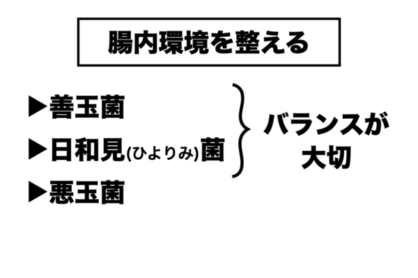 腸の中には善玉菌や悪玉菌など様々な細菌が存在していることを説明する図