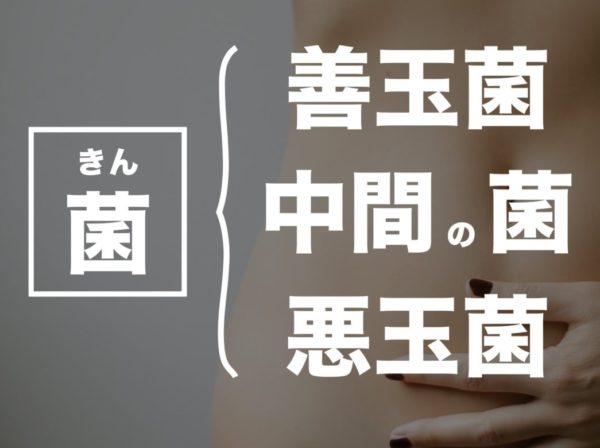 腸の中には大まかに言って、善玉菌、日和見菌、悪玉菌がバランスをとりながら存在していることを説明する図表