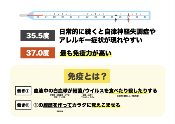 37.0度の体温が腸内環境がいちばん整う温度と一致するため最も免疫力が高い体温であることを説明する図