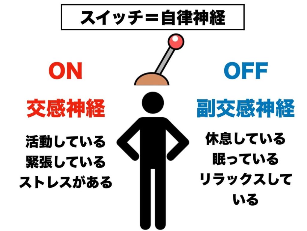 自律神経が交感神経と副交感神経をコントロールしていることをまとめた画像