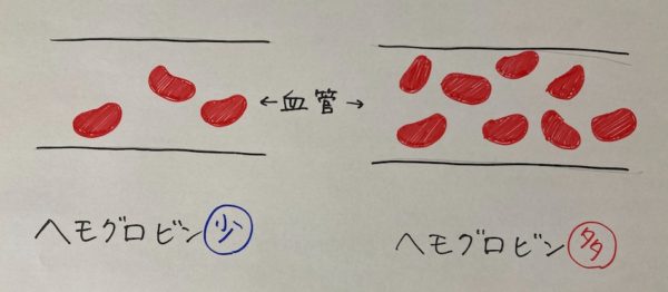 酸素を届けてくれるヘモグロビンが血液中に多い状態・少ない状態をわかりやすく表したイラスト画像