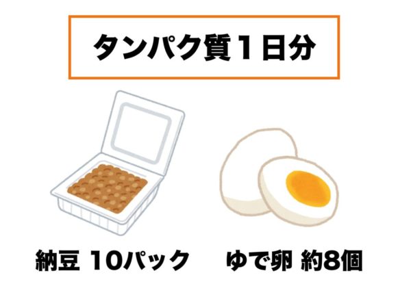 厚生労働省が提示するタンパク質1日分の食材