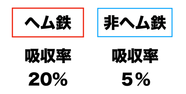 ヘム鉄と非ヘム鉄のカラダへの吸収率を分かりやすく説明する画像