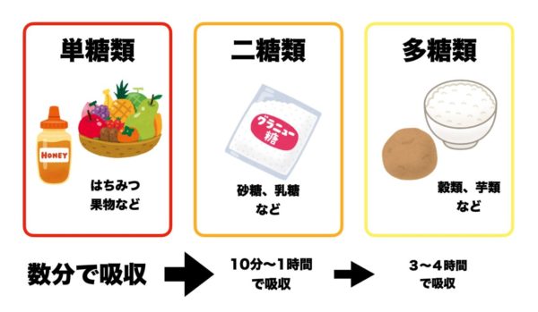担当室・二糖質・多糖質のカラダへの吸収率を説明している画像