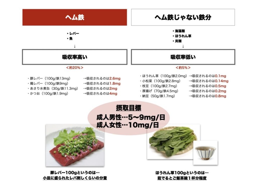 一日に必要なヘム鉄の量を分かりやすくまとめた図