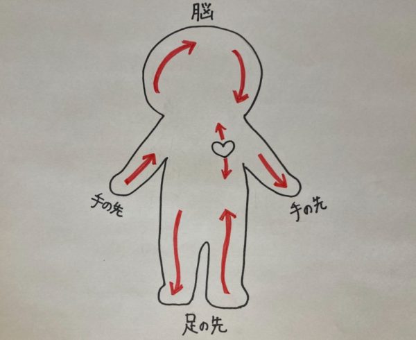 血液の働きは酸素・栄養を全身に運ぶということをわかりやす表したイラスト