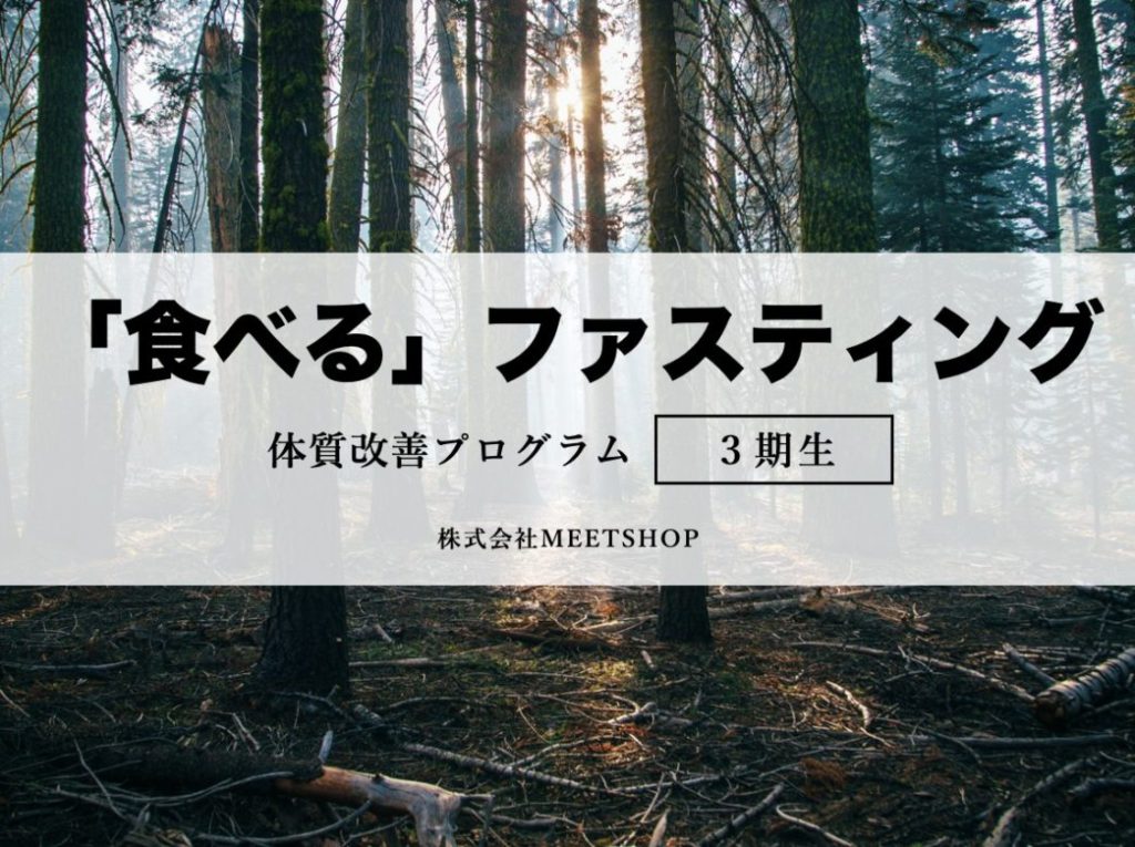 サンナナサロンの食べるファスティングプログラムのスライドのイメージ