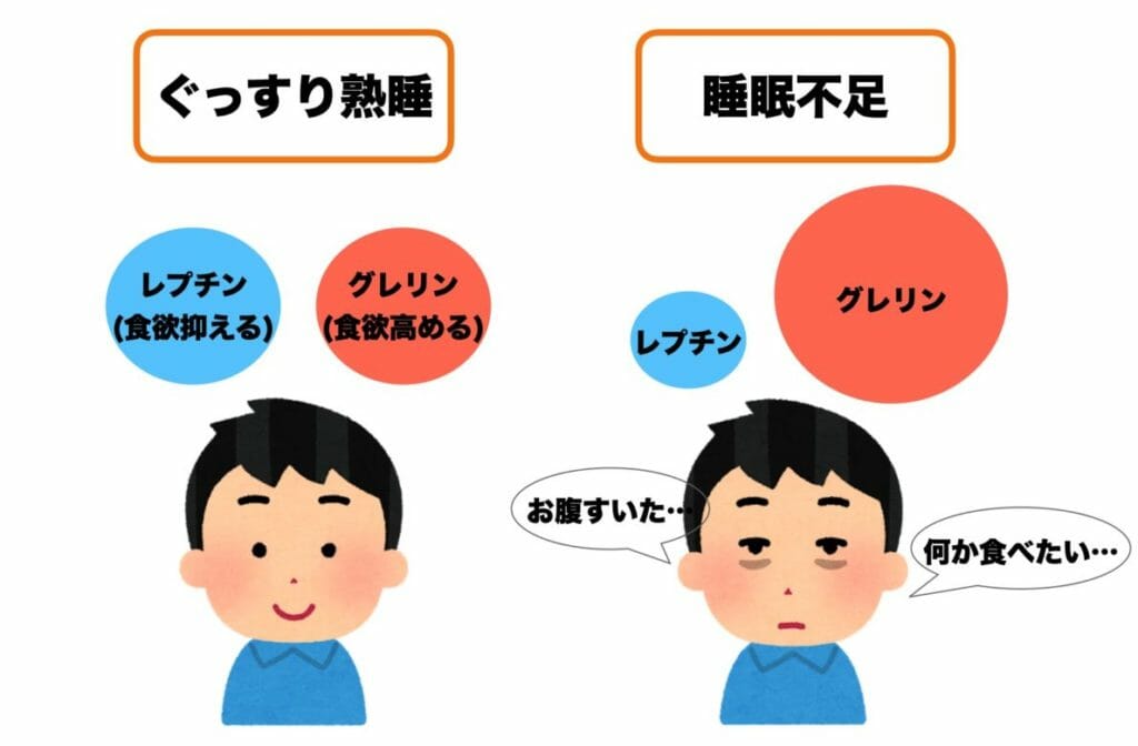睡眠不足によって食欲を抑えるホルモン(レプチン)と食欲を高めるホルモン(グレリン)のバランスが乱れていることを説明した画像