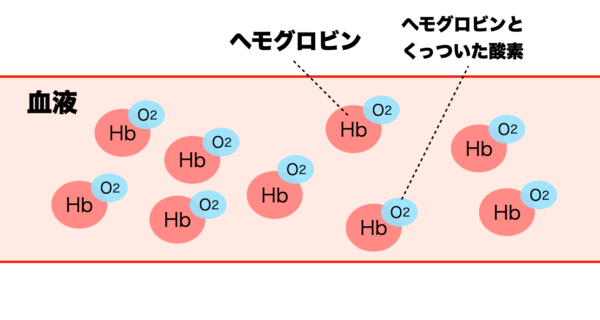 血中酸素濃度は、そのヘモグロビンと酸素の結合率ということを説明したイメージ