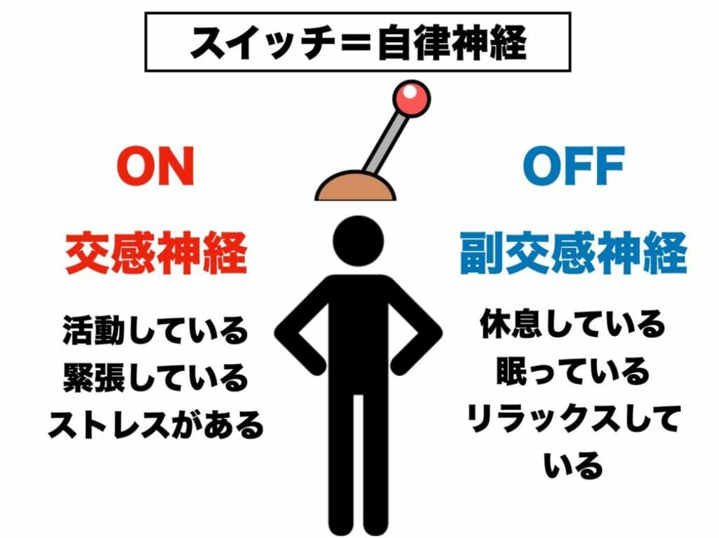 交感神経と副交感神経の働きについてわかりやすくまとめた画像