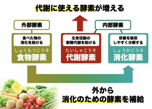 風邪をひいたときにご飯を食べると酵素が足りなくなって治りが遅くなることを説明した画像