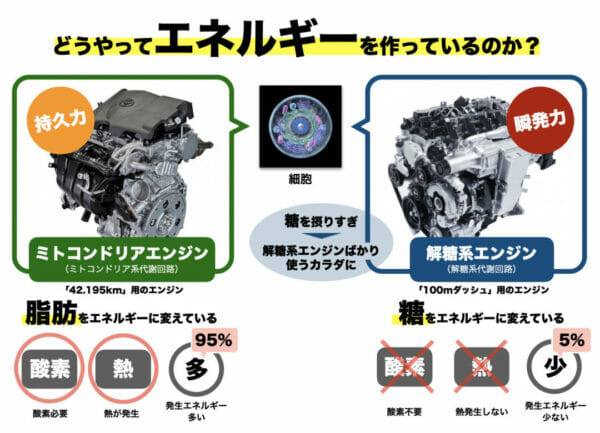 解糖系とミトコンドリアエンジンについてわかりやすくまとめた画像