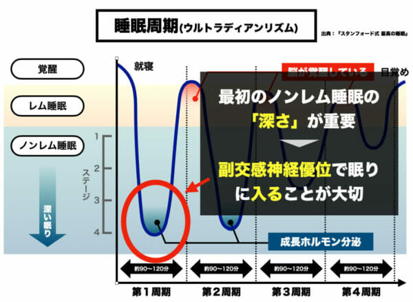 風邪の時には副交感神経優位で眠ることが大切というのがわかるグラフ