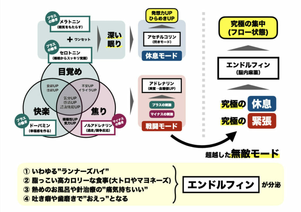 βエンドルフィンとアドレナリンについてくわしくまとめたイメージ