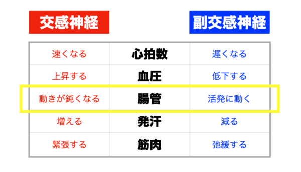 自律神経と便秘の関係について説明したイメージ
