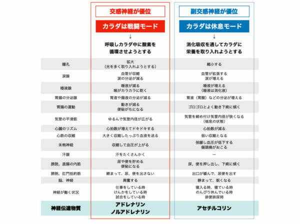 熱いお風呂に入るとアドレナリンによって交感神経優位になってしまい便秘になる可能性があると説明している画像