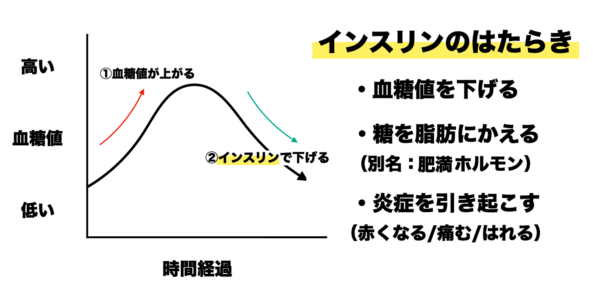 血糖値を下げるホルモンインスリンについて詳しくまとめたイメージ