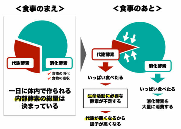 代謝酵素と消化酵素をわかりやすくまとめた画像
