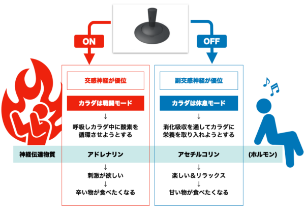 サウナに入ることで交感神経と副交感神経が切り替わることを説明した自律神経についての図表イメージ