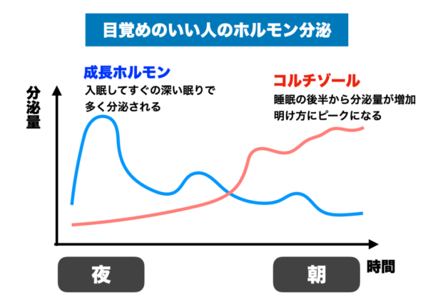 朝からスッキリおきることができる人のコルチゾールのグラフ