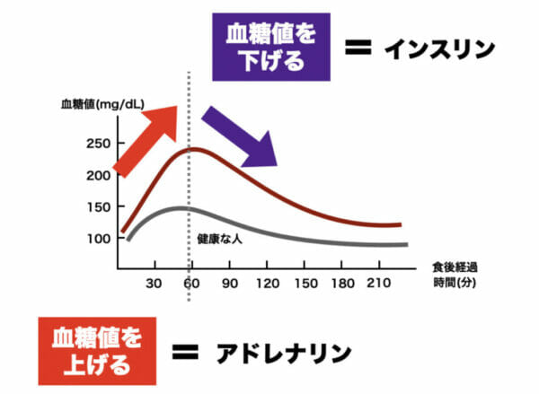 アドレナリンが分泌されると血糖値が上がり、インスリンで下げることを説明したイメージ