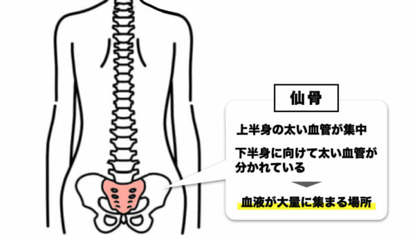 カイロを貼ると痩せる仙骨の場所を表したイメージ