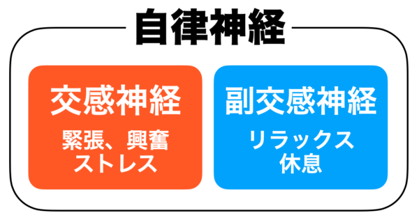 便秘に関係している自律神経についてまとめたイメージ