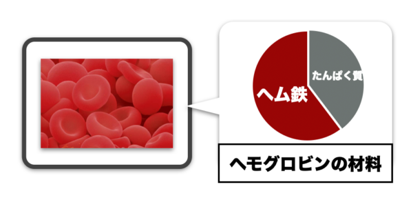 ヘモグロビンをつくるにはヘム鉄とタンパク質が必要だと説明したイメージ