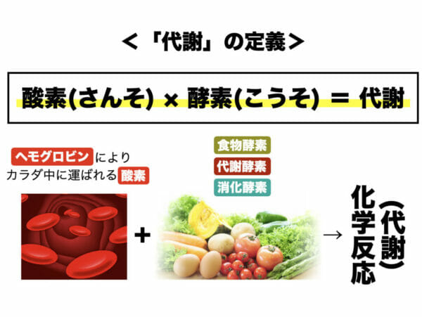 酸素が代謝に必要であることを説明する資料