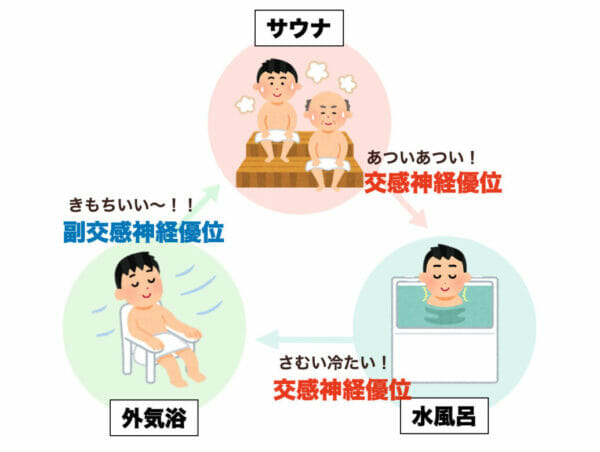 サウナに入ることで交感神経と副交感神経が切り替わることを説明した自律神経についての図表イメージ