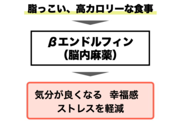 アイスを食べるとエンドルフィンが出る流れについて説明している画像