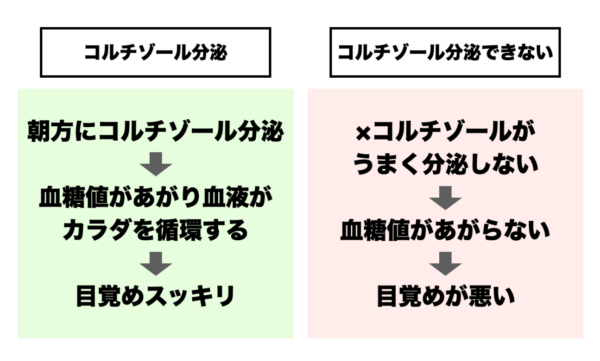 コルチゾールが分泌された時とそうでないときを比較した画像イメージ